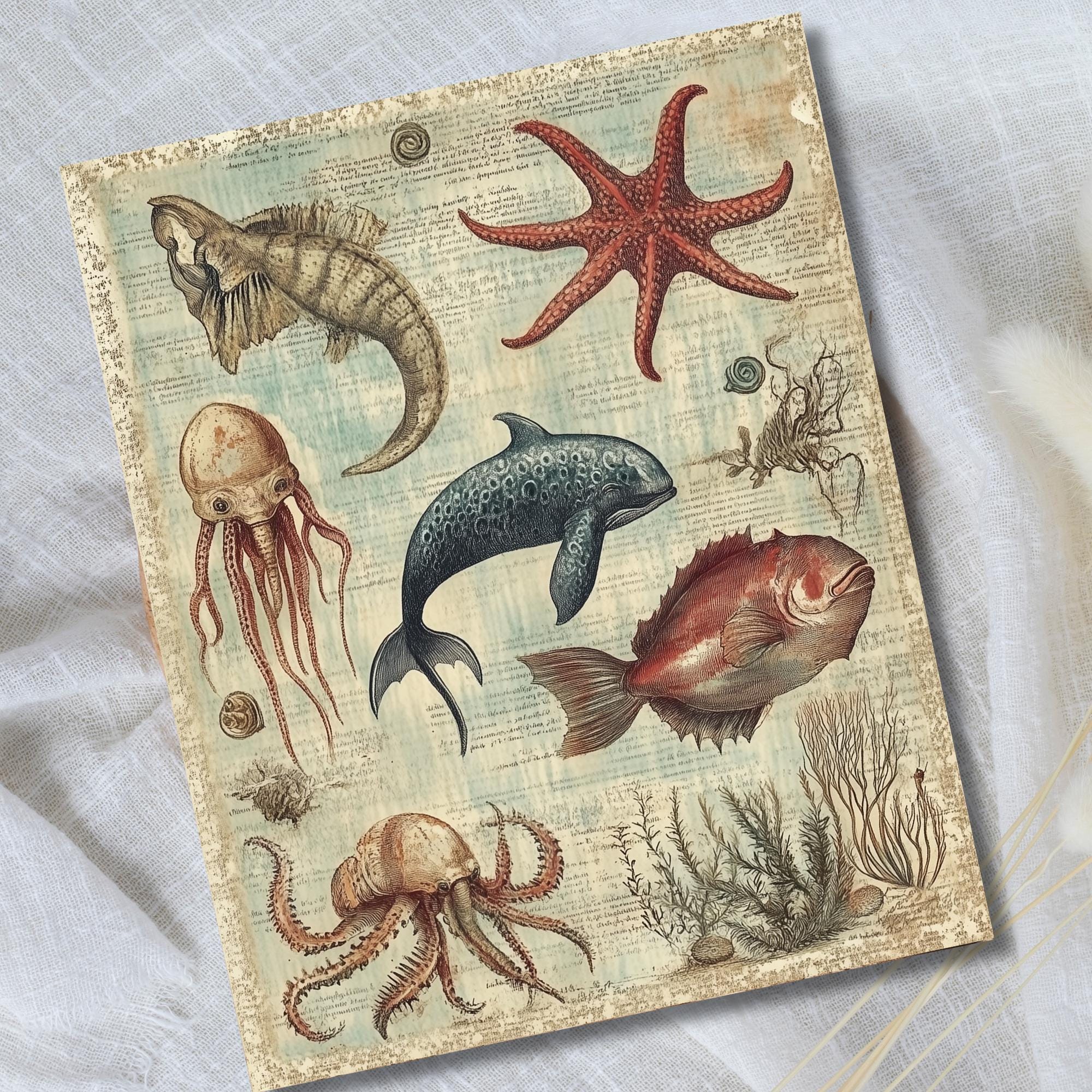 Sea Creatures Paper Pack 18 Pages Vintage Junk Journal Printable 