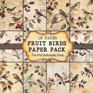 paquet de papier vintage oiseaux et baies, 18 pages imprimable Junk Journal, Scrapbooking Ephemera Planner Inserts Papeterie PNG DIGITAL DOWNLOAD