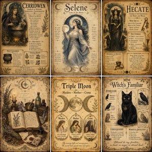 May include: A set of six vintage-style posters featuring illustrations and text about Cerridwen, Selene, Hecate, a witch's altar with an open book, the Triple Moon phases, and a black cat labeled as a Witch's Familiar on aged parchment paper.