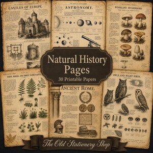 May include: A collection of vintage-style paper sheets featuring educational illustrations of castles, astronomy, mushrooms, ferns, ancient Rome, and owls. The text includes titles like Castles of Europe, Astronomy, and Natural History Pages 30 Printable Papers.