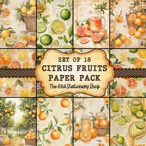 Citrus Fruits Paper Pack, 18 druckbare Junk-Journal-Seiten, Scrapbooking Ephemera Vintage Bauernhof-Planer-Briefpapier PNG DIGITAL DOWNLOAD