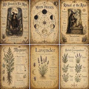 May include: A set of six vintage-style parchment posters featuring occult and botanical illustrations. The prints display detailed diagrams of moon phases, herbal correspondences, and ritual guides with text in black ink on a weathered tan background.