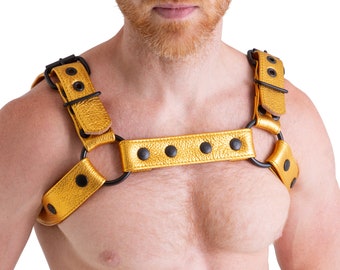 BULLDOG Metallic Gold LEATHER HARNESS with black buckle and snap