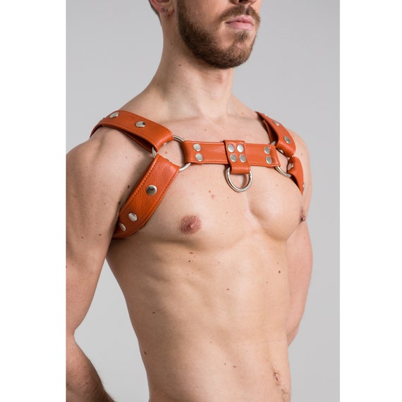 Mens bulldog harness cheap