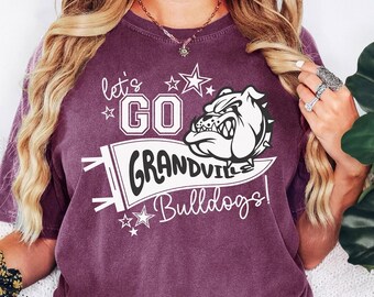 Custom School Mascot Shirt, Personalized High School Spirit Tee, Game Day T-Shirt, Teacher TShirt, Your School Name & Mascot, Comfort Colors