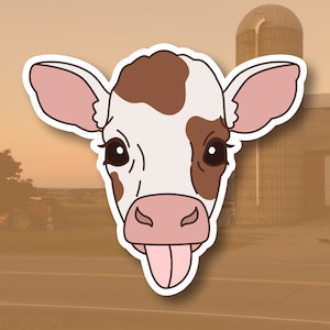 Baby cow, calf with tongue out - waterproof glossy vinyl sticker