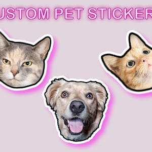 Custom pet photo stickers - waterproof glossy vinyl stickers