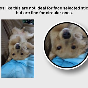 May include: A golden retriever puppy lying on its back, with a light blue shirt in the background. A circular sticker with the puppy's face is also shown. The text reads: Photos like this are not ideal for face selected stickers, but are fine for circular ones.