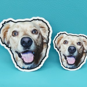 May include: Two stickers featuring a smiling golden retriever dog face with a black outline. The dog has brown eyes, a black nose, and a pink tongue. The stickers are on a turquoise background.