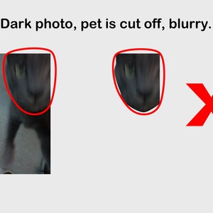 May include: A blurry, dark photo of a gray cat's face. The cat's face is cut off on the left side of the image. The cat's eyes are visible, and the photo is out of focus.