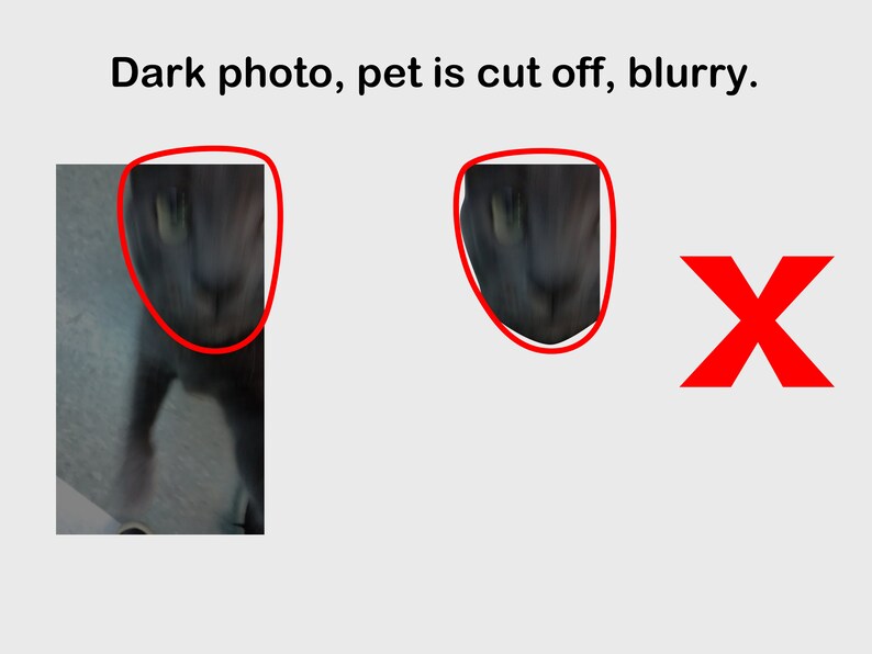 May include: A blurry, dark photo of a gray cat's face. The cat's face is cut off on the left side of the image. The cat's eyes are visible, and the photo is out of focus.