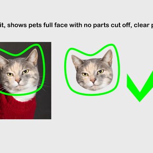 May include: A clear photo of a cat's face, framed by a green outline. The cat has gray, white, and tan fur and is wearing a red sweater. The text "Well lit, shows pets full face with no parts cut off, clear photo" is at the top.