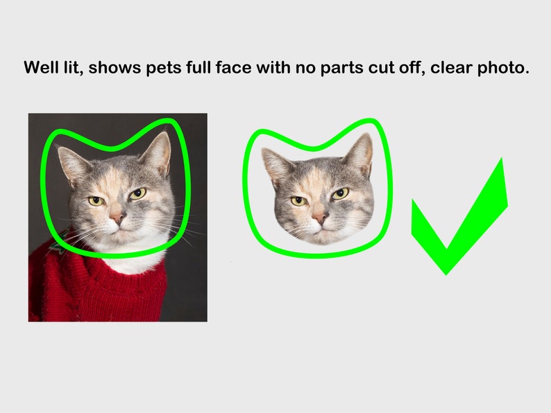 May include: A clear photo of a cat's face, framed by a green outline. The cat has gray, white, and tan fur and is wearing a red sweater. The text "Well lit, shows pets full face with no parts cut off, clear photo" is at the top.
