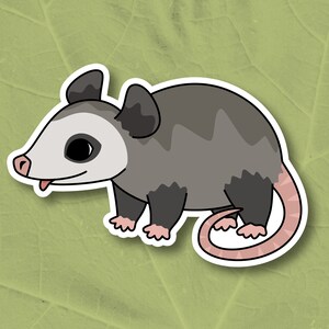 mignon bébé opossum avec langue sortie - autocollant imperméable en vinyle brillant opossum