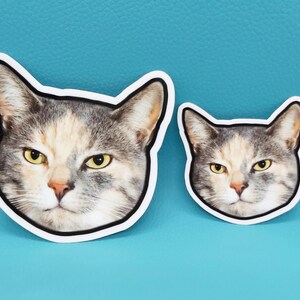 May include: Two cat face stickers with a white border. The larger sticker features a close-up of a cat's face with gray, white, and tan fur and yellow eyes. The smaller sticker has the same design. The background is a solid teal color.