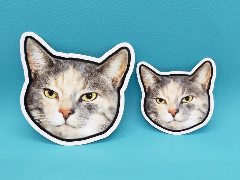 May include: Two cat face stickers with a white border. The larger sticker features a close-up of a cat's face with gray, white, and tan fur and yellow eyes. The smaller sticker has the same design. The background is a solid teal color.