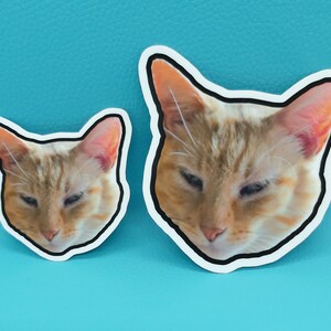May include: Two cat stickers with a white border and a black outline. The cats have orange and white fur and closed eyes. The stickers are on a turquoise background.