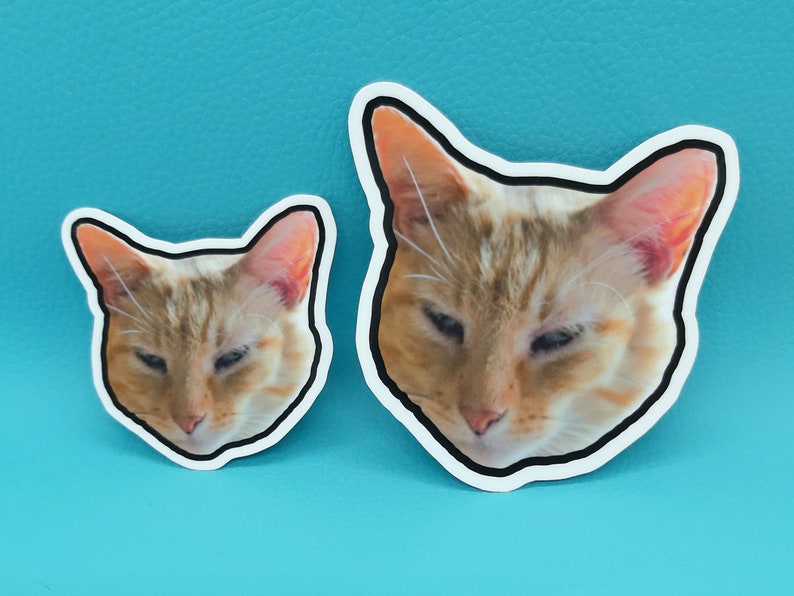 May include: Two cat stickers with a white border and a black outline. The cats have orange and white fur and closed eyes. The stickers are on a turquoise background.