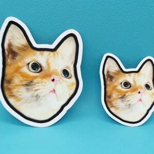 May include: Two cat-shaped stickers. The larger sticker features a close-up of a ginger cat's face with wide eyes and a surprised expression. The smaller sticker has the same design. Both stickers have a white border with a black outline.