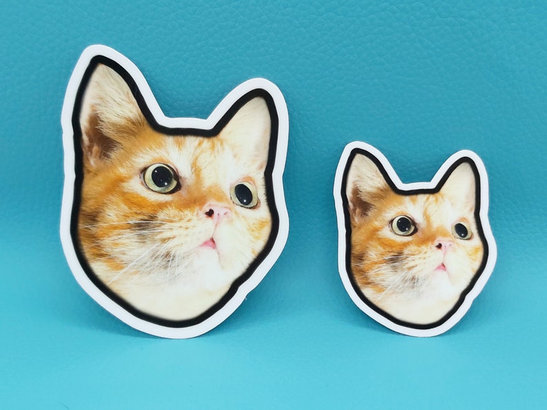 May include: Two cat-shaped stickers. The larger sticker features a close-up of a ginger cat's face with wide eyes and a surprised expression. The smaller sticker has the same design. Both stickers have a white border with a black outline.