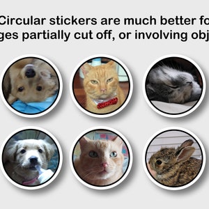 May include: Six circular stickers featuring images of pets, including dogs, cats, and a rabbit. The stickers have a white border and are set against a light gray background. Text at the top reads: "Circular stickers are much better for images partially cut off, or involving objects."