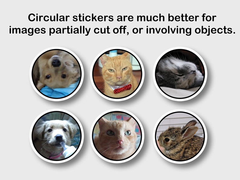 May include: Six circular stickers featuring images of pets, including dogs, cats, and a rabbit. The stickers have a white border and are set against a light gray background. Text at the top reads: "Circular stickers are much better for images partially cut off, or involving objects."