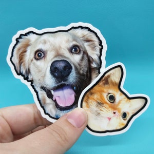 May include: Two die-cut stickers featuring pet portraits. One sticker shows a golden retriever with a happy expression, tongue out. The other sticker is a ginger cat with wide eyes. Both stickers have a white border and are held against a blue background.