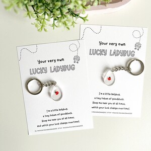 May include: A white card with black text that reads "Your very own LUCKY LADYBUG" and features a small ladybug charm attached to a silver key chain. The card also includes a message about the ladybug being a tiny token of good luck and to keep it near you at all times.