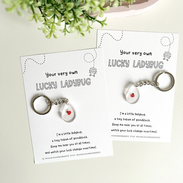 Lucky Ladybug Keychain, Ladybird Keychain, Good Luck Gift, Positive Gift For Friends, Mental Health Gift, Friendship Gifts, Small Keyring