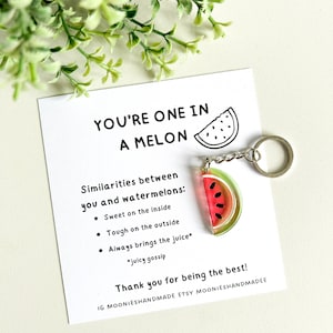 Watermelon Keychain, Summer Keychain, Fruit Keyring, One In A Million, Gifts for friends, Uplifting Gifts, Positive Gifts, Mental Health