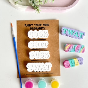 May include: A paint-your-own profanity craft kit featuring a brown card with the text PAINT YOUR OWN PROFANITY and four white plaster words: COCK, SHIT, FUCK, and TWAT. Includes a blue paintbrush, three small paint pots in pink, teal, and yellow.