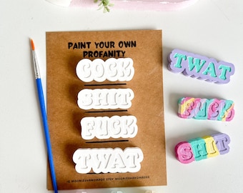 Adult Plaster Painting Kit, Rude Swear Word Fridge Magnets,Paint and Sip Activity Sets, Inappropriate Gifts for Friends