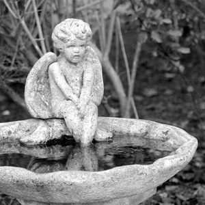 May include: A grayscale image of a stone birdbath with an angel statue. The angel, with folded wings, sits on the edge, its feet in the water. The birdbath has a pedestal base and a shallow basin filled with water.