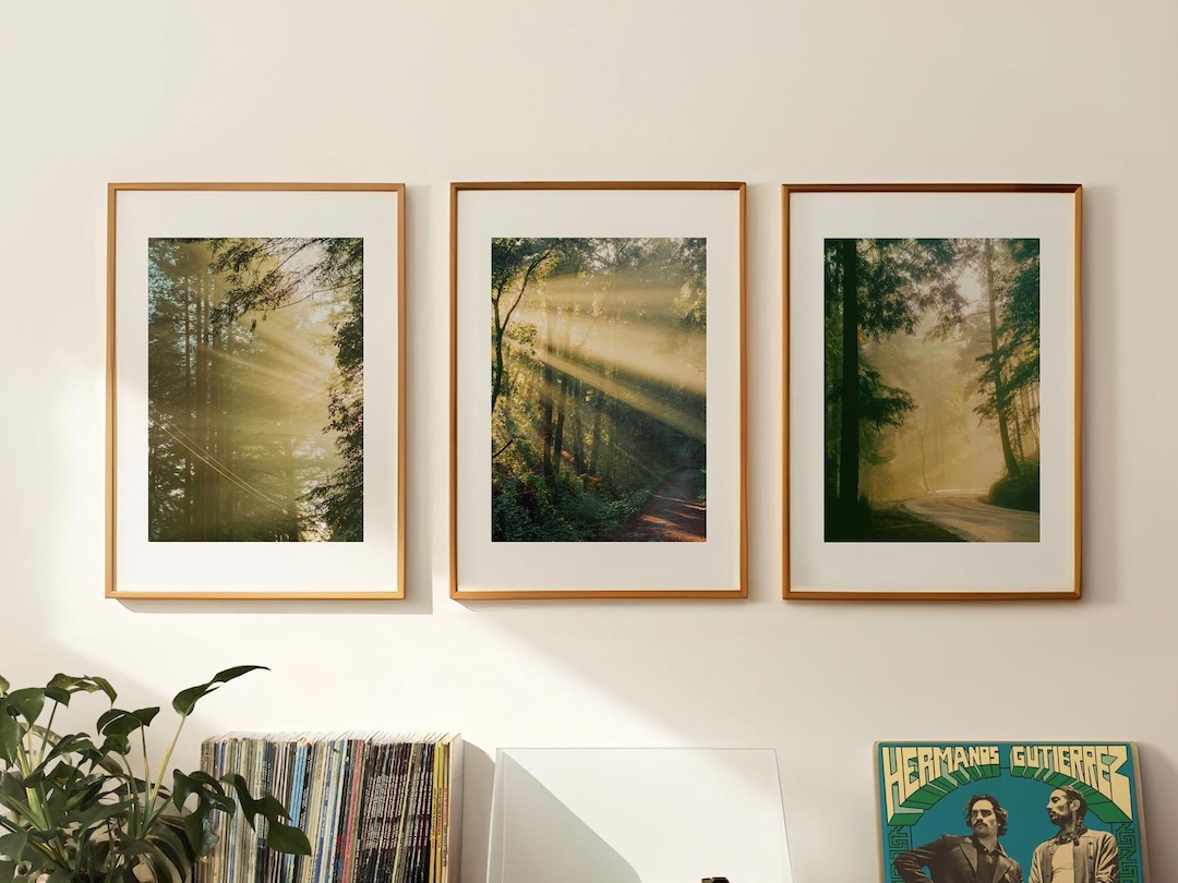 Set of 3 Light Ray Prints, Framed or Unframed, Forest Photography, Cozy ...