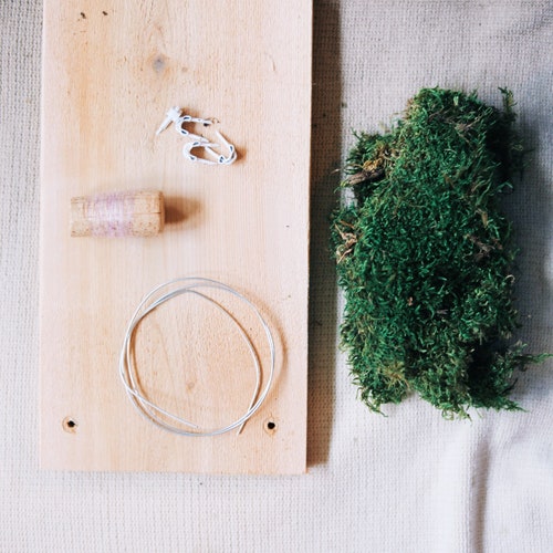 Staghorn Mounting Kitdiy Etsy