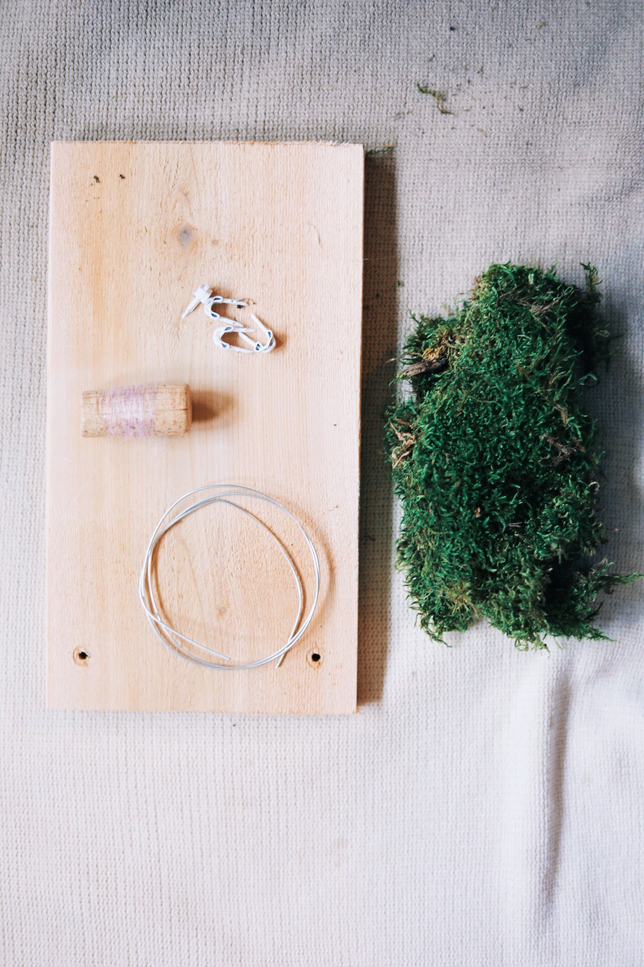 Staghorn Mounting Kitdiy Etsy Australia