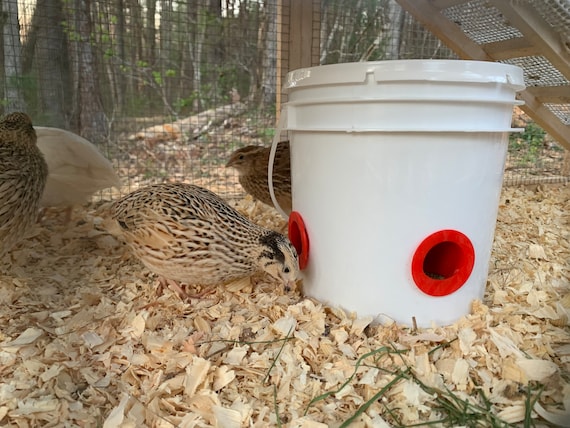 Quail Feeder Bucket with Feed Saver Ports, Ports are 3D Printed