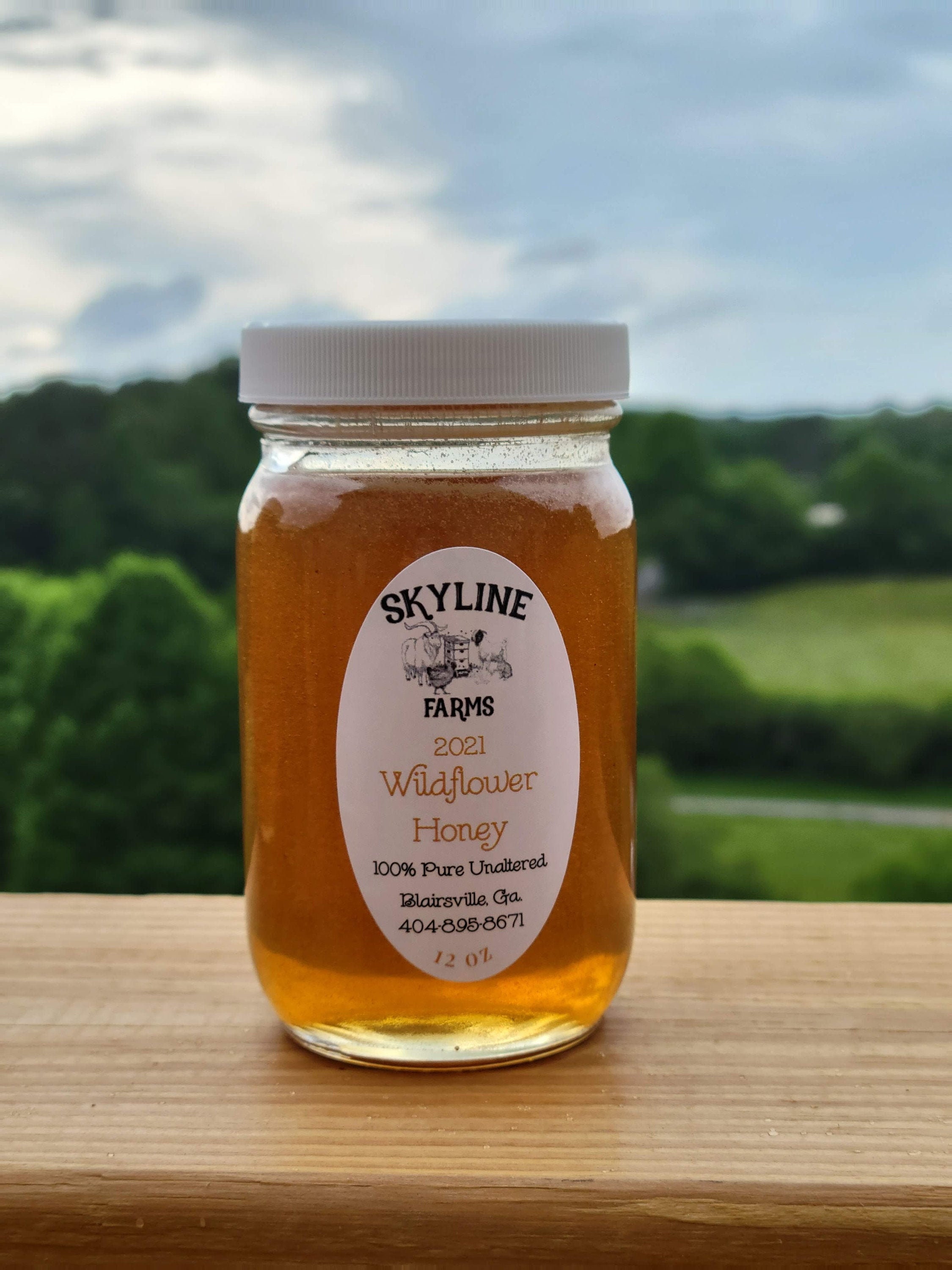 Pure North GA Raw Honey local honey lightly strained great Etsy