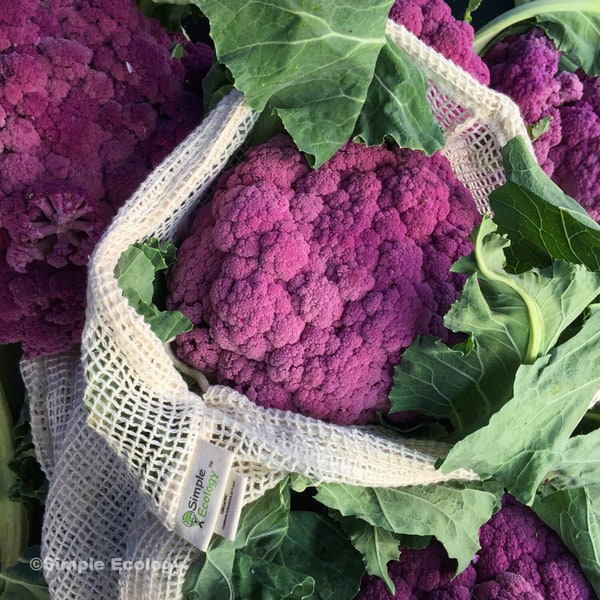 Reusable Mesh Produce Bags - Organic Cotton Fruit & Vegetable Storage Bags