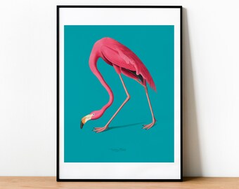 Estampado vintage de flamenco rosa - Póster de animales - Decoración de pared - Idea de regalo - Estampado de aves - Póster de ilustración de la naturaleza - Arte de flamencos