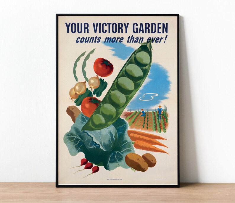 May include: A vintage poster with the text "YOUR VICTORY GARDEN counts more than ever!"  The poster features a colorful illustration of a variety of vegetables, including a large green pea pod, tomatoes, onions, radishes, carrots, and a cabbage.  The poster also shows a small garden scene with people working in the garden.