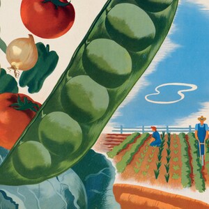 May include: A green pea pod with a row of peas inside. The pod is open and the peas are visible. The pod is on a white background with a blue sky and clouds in the background. There are also some red tomatoes and a white onion in the image.