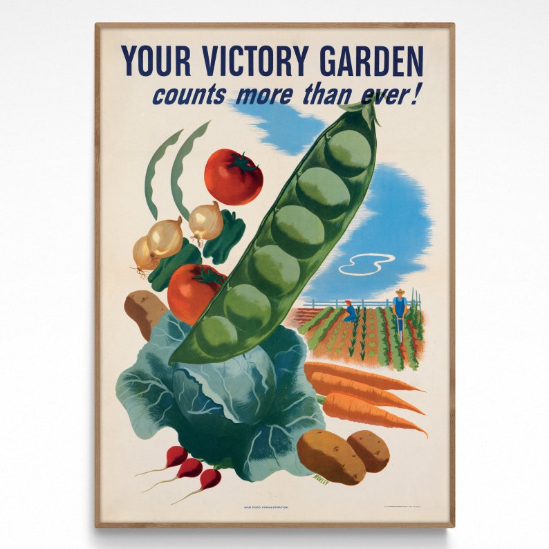 May include: A vintage World War II era poster encouraging people to grow their own food. The poster features a vibrant illustration of fresh vegetables, including a large green pea pod, tomatoes, onions, carrots, and a cabbage. The text reads "YOUR VICTORY GARDEN counts more than ever!"