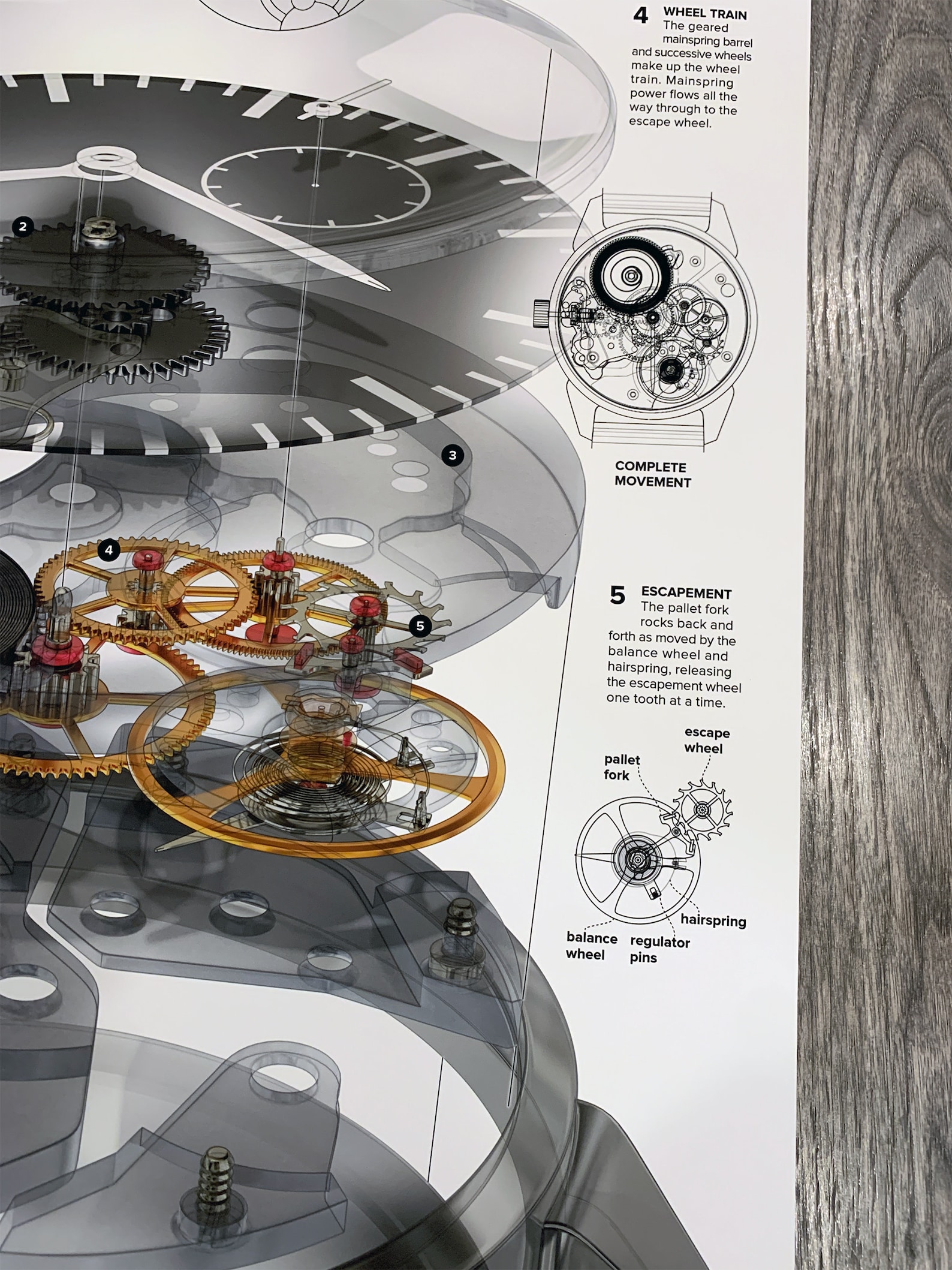 How a Mechanical Watch Works Poster by Animagraffs Etsy