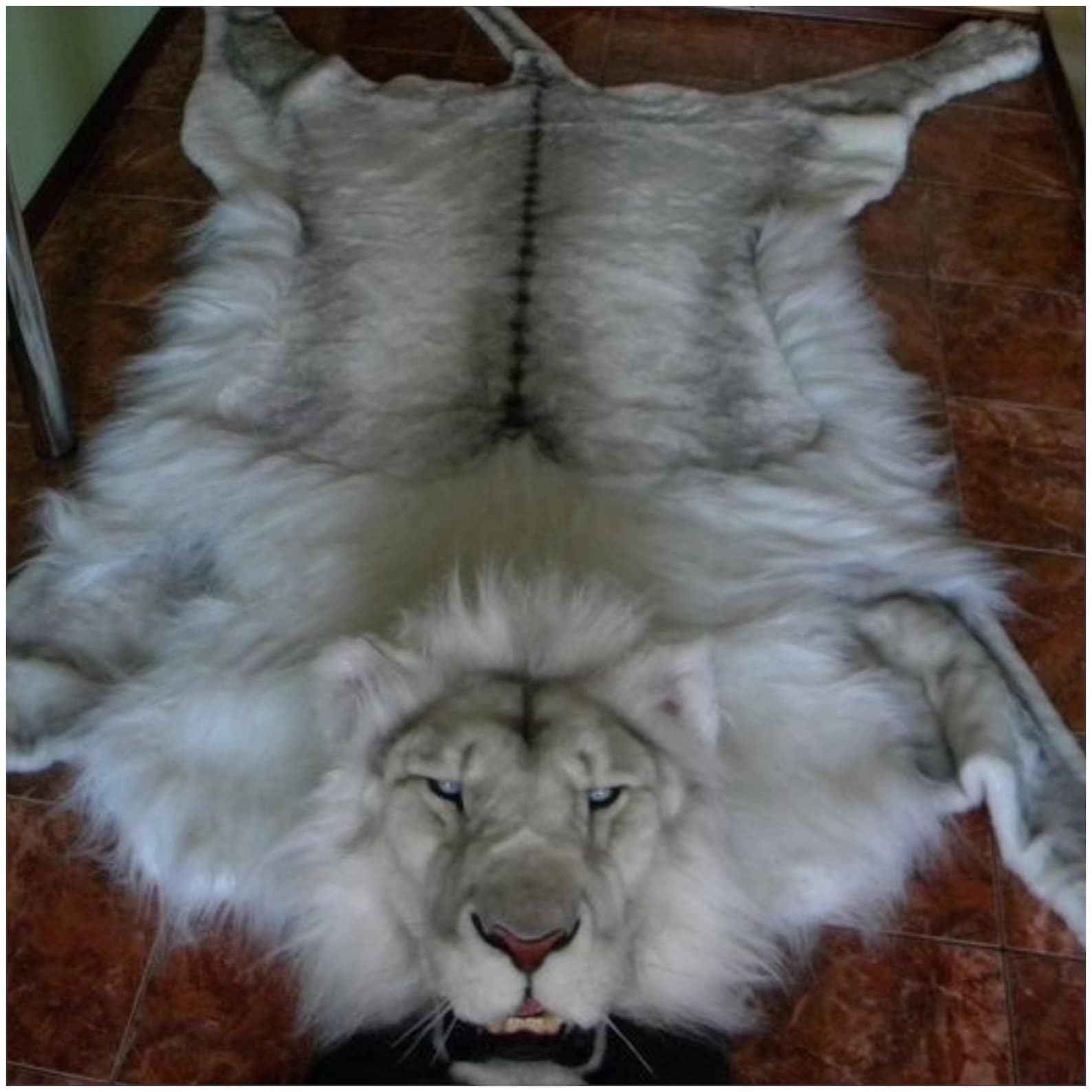Lion skin rug Faux Fur Like a real one Chic Fur Rug Etsy
