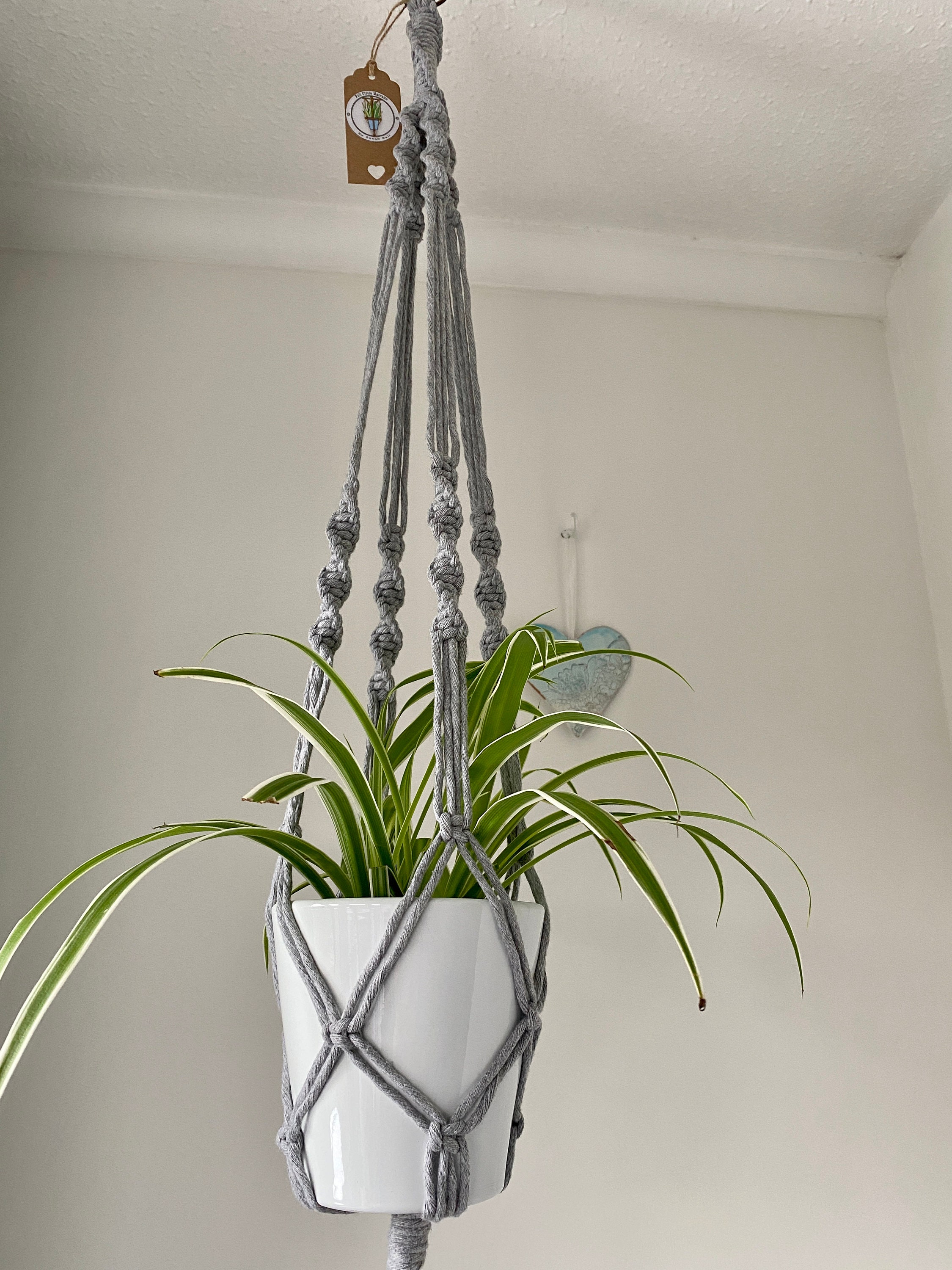 Macrame Ceiling Plant Hanger Etsy