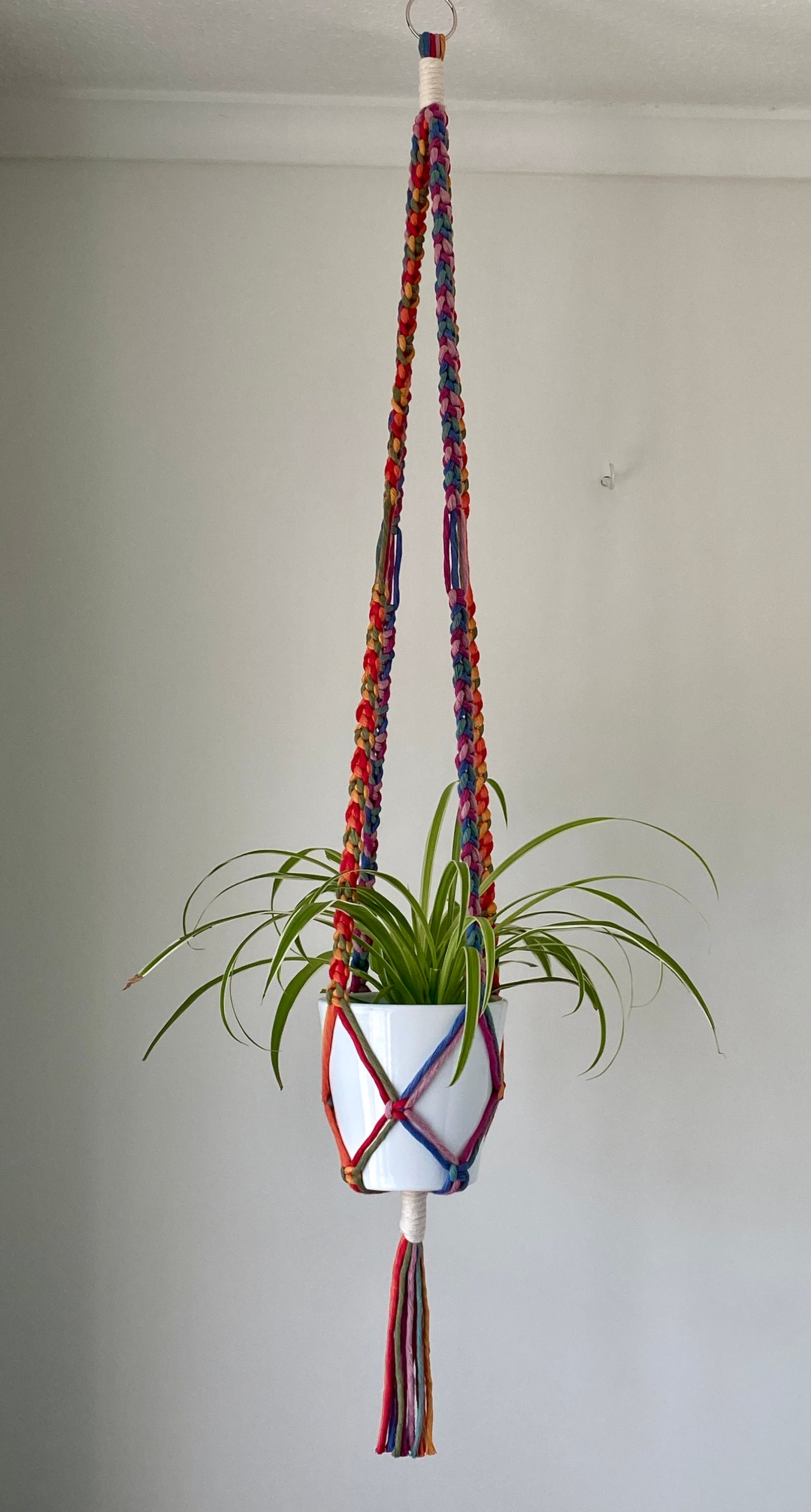 Macrame Ceiling Plant Hanger Rainbow Etsy