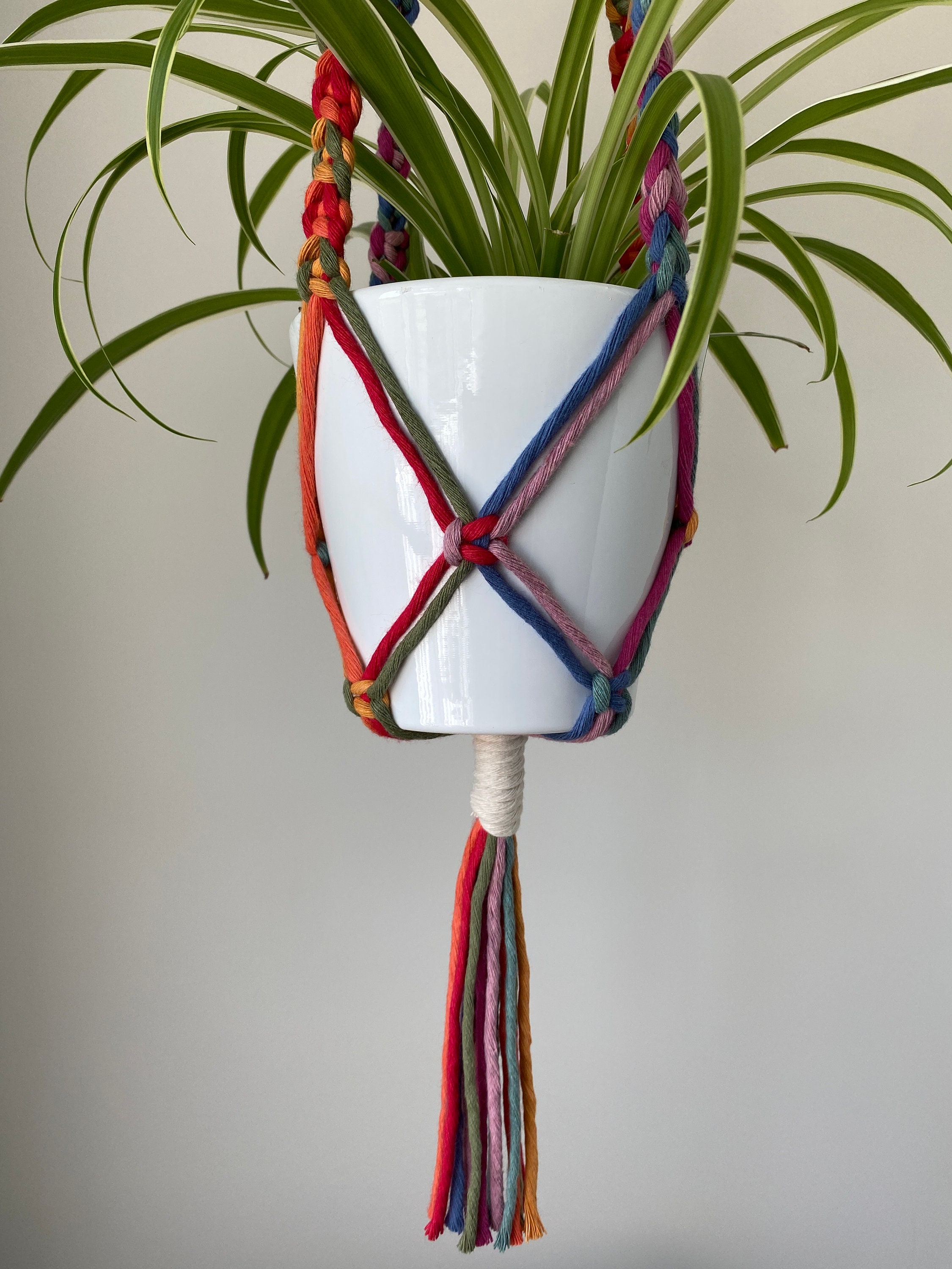 Macrame Ceiling Plant Hanger Rainbow Etsy