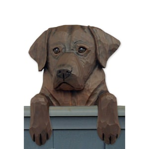 May include: A wooden carving of a chocolate Labrador Retriever peeking over a fence. The dog has a brown coat and is looking at the viewer with a sweet expression.