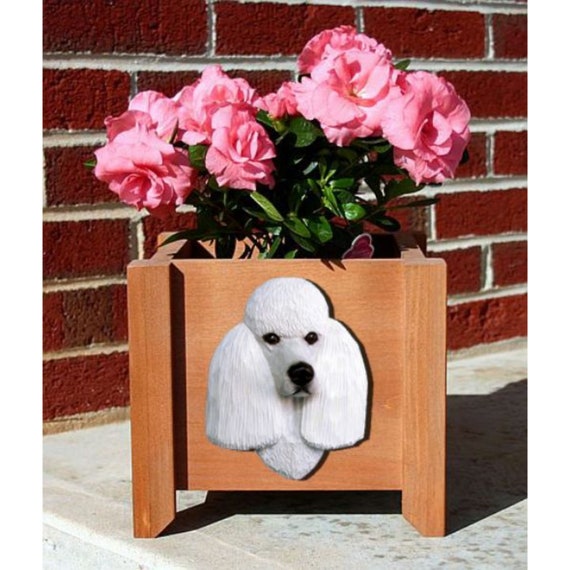 thumbnail interactive-video image 1 of Dog Shaped Succulent Planter Pots - Poodle Design Indoor/Outdoor Garden Decor 1 of 11